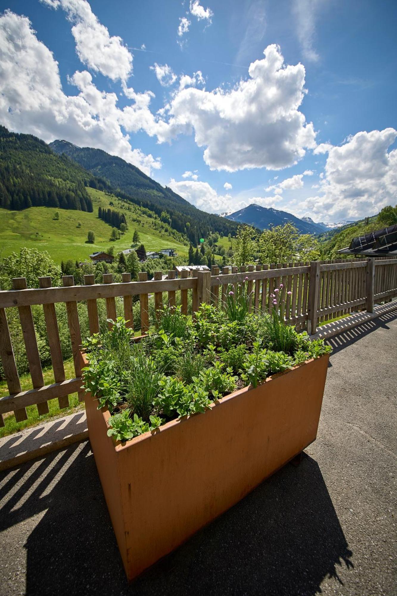 Drei Hittn Saalbach Appartement Buitenkant foto